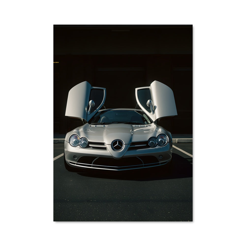 Poster L'Art du Stationnement