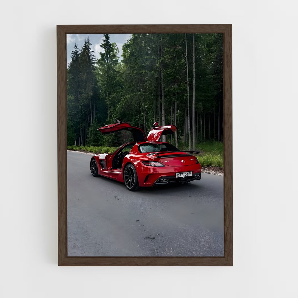ap-sls amg black series-1 cadre Bois foncé