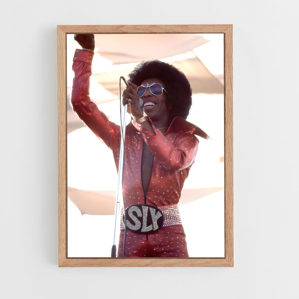 ap-sly and the family stone-3 cadre Bois clair