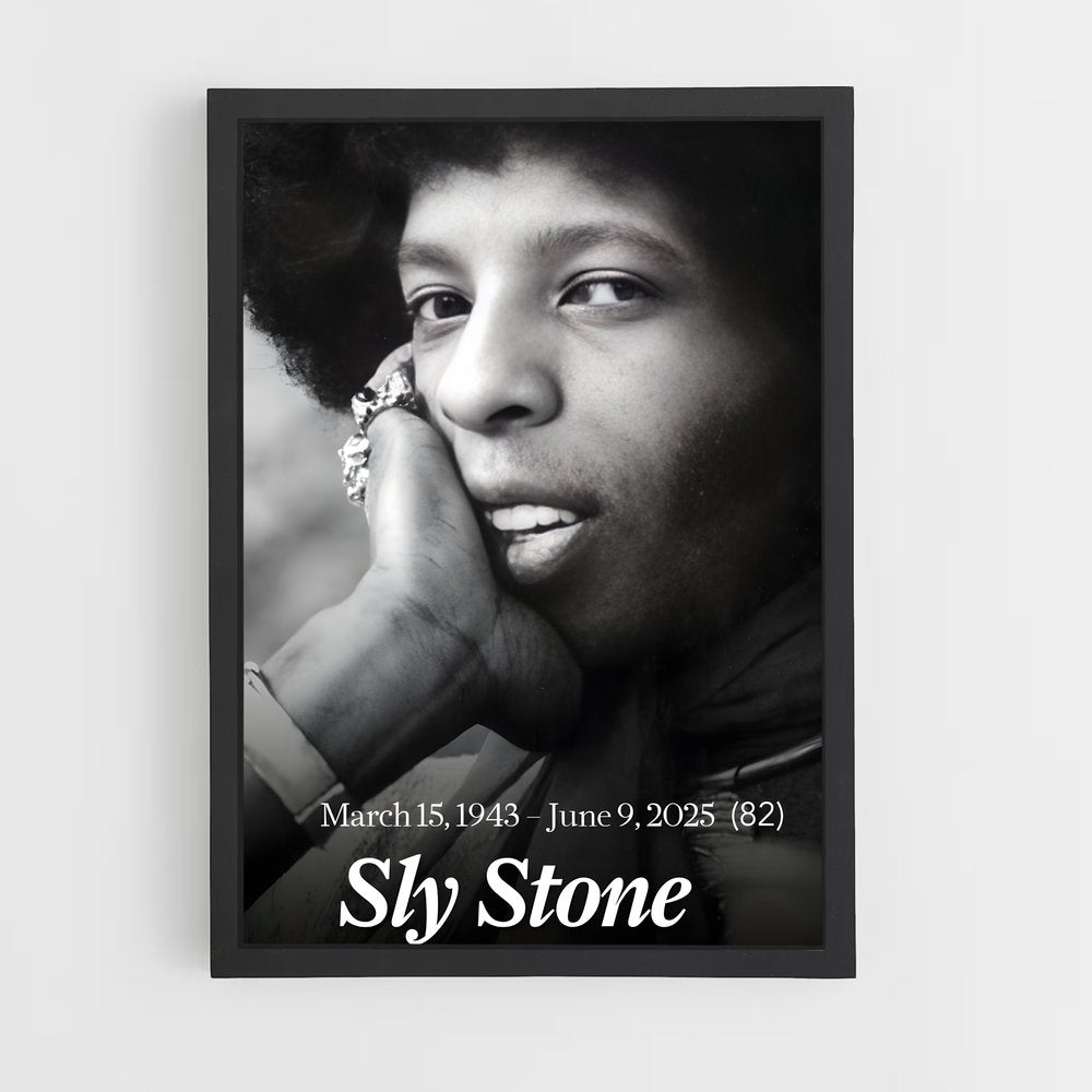 ap-sly stone-3 cadre Noir