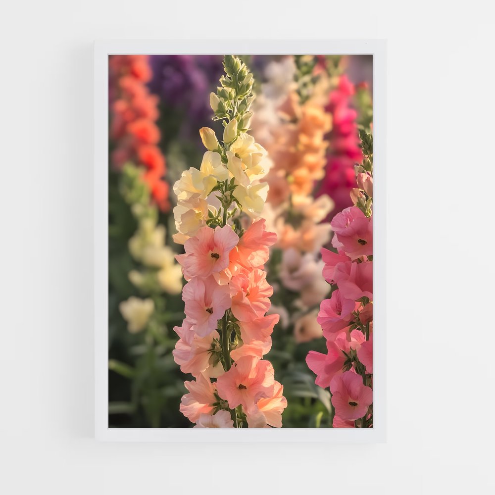 ap-snapdragon-1 cadre Blanc