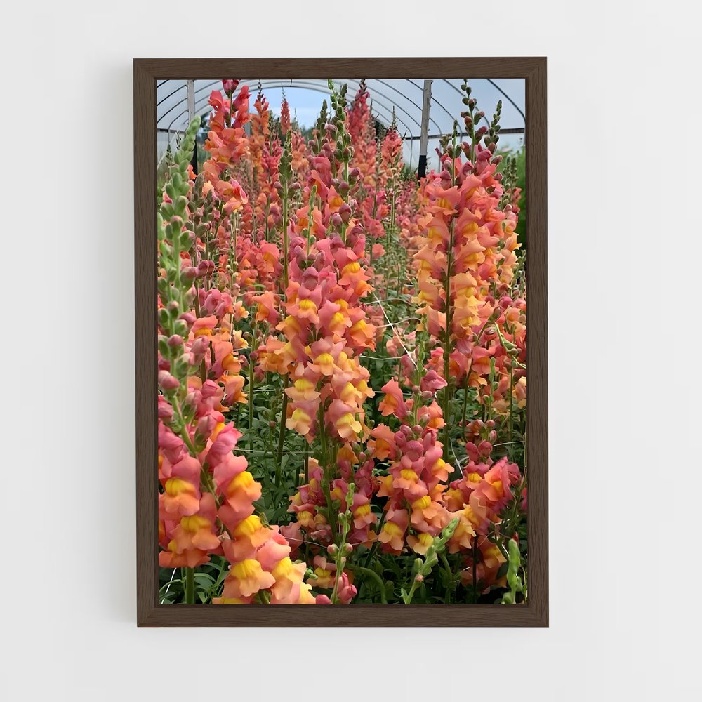 ap-snapdragon-3 cadre Bois foncé