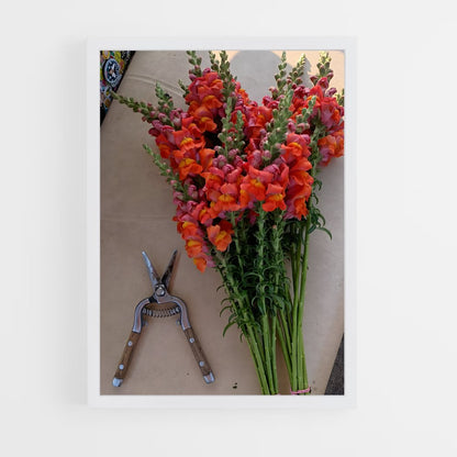 ap-snapdragon-4 cadre Blanc