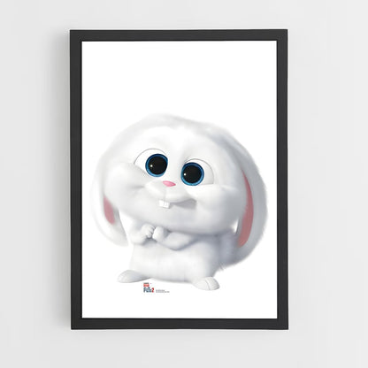 ap-snowball-2 cadre Noir