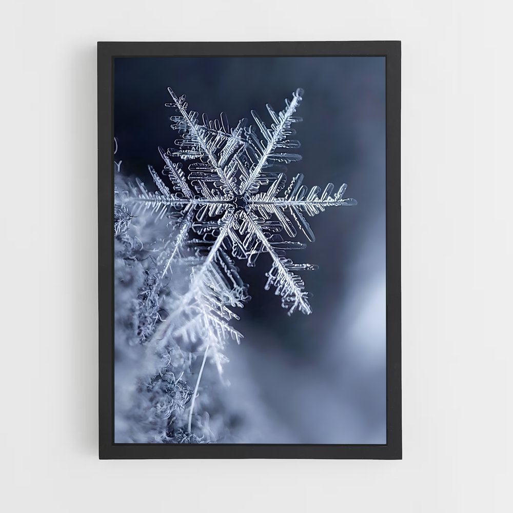 ap-snowflake-1 cadre Noir