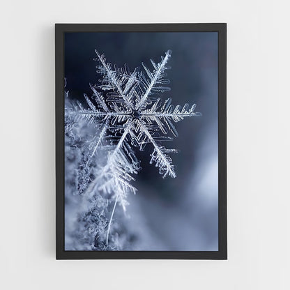 ap-snowflake-1 cadre Noir