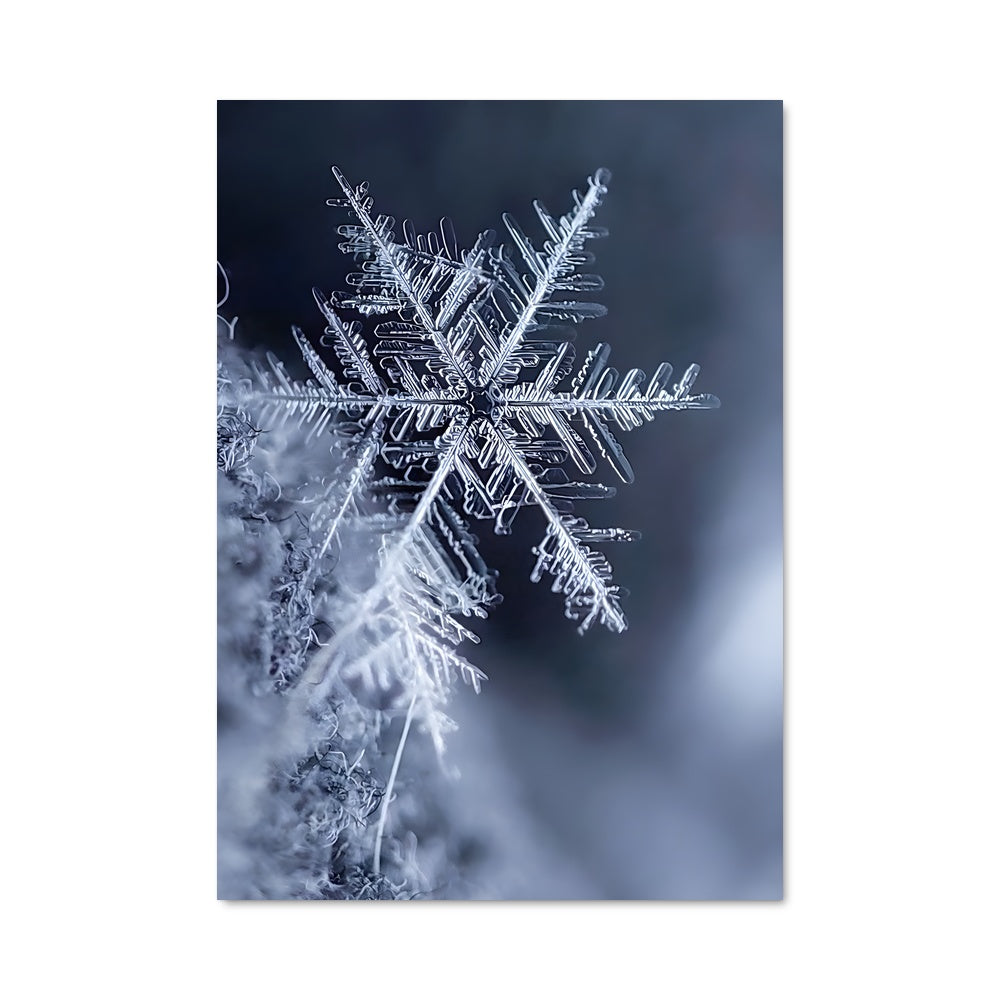 Snowflake Poster – Aesthetic Posters