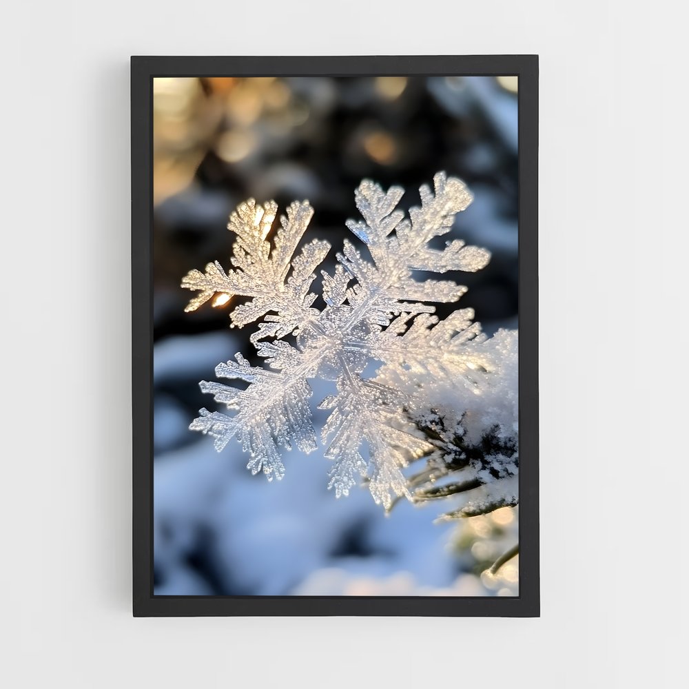 ap-snowflake-6 cadre Noir