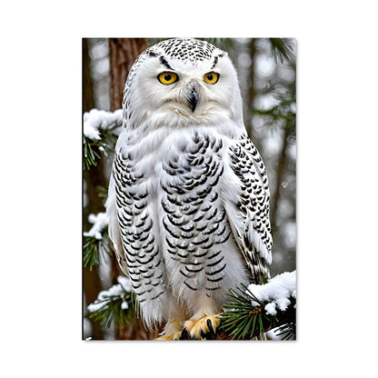 Poster Snowy owl 84382