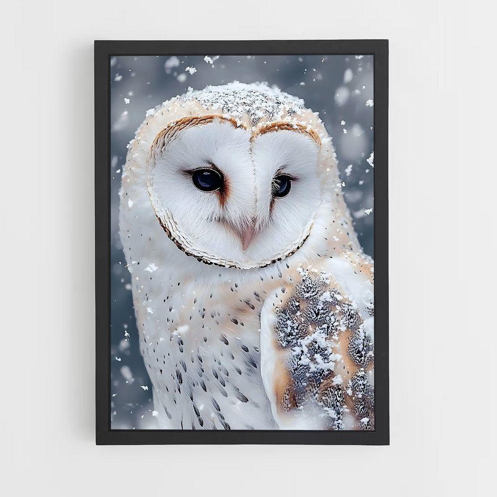 ap-snowy owl-10 cadre Noir