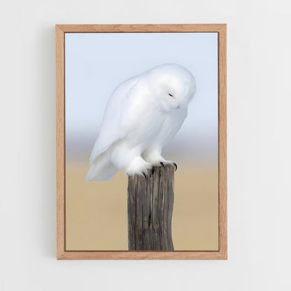 ap-snowy owl-11 cadre Bois clair