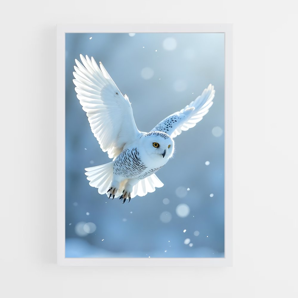 ap-snowy owl-2 cadre Blanc