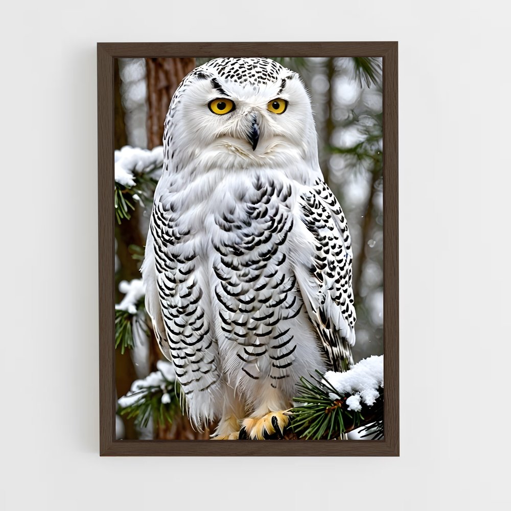 ap-snowy owl-5 cadre Bois foncé