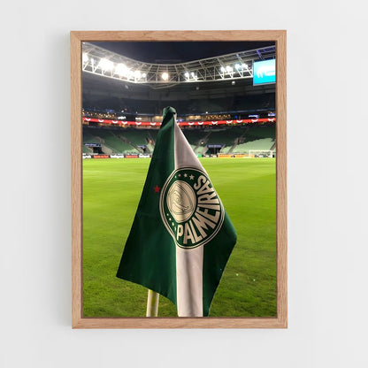 ap-sociedade esportiva palmeiras-2 cadre Bois clair