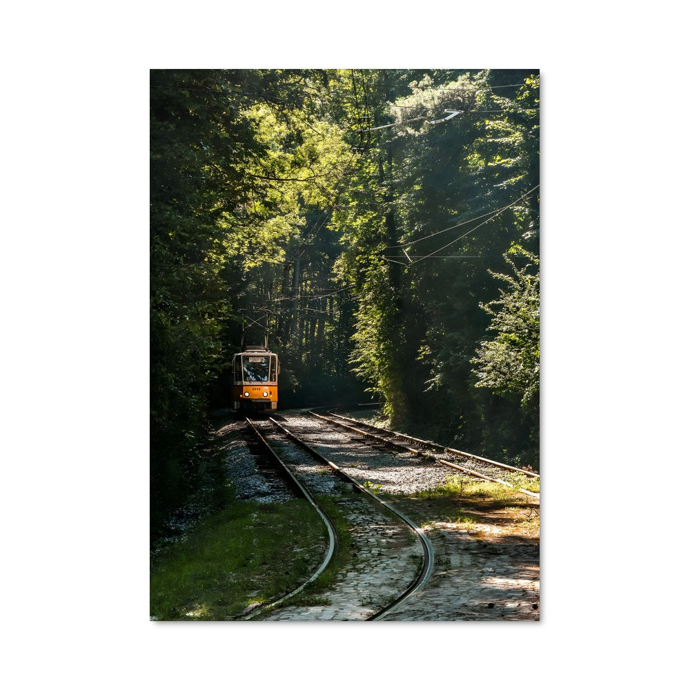 Poster Sofia 89955