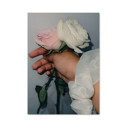 Poster Rose Douceur