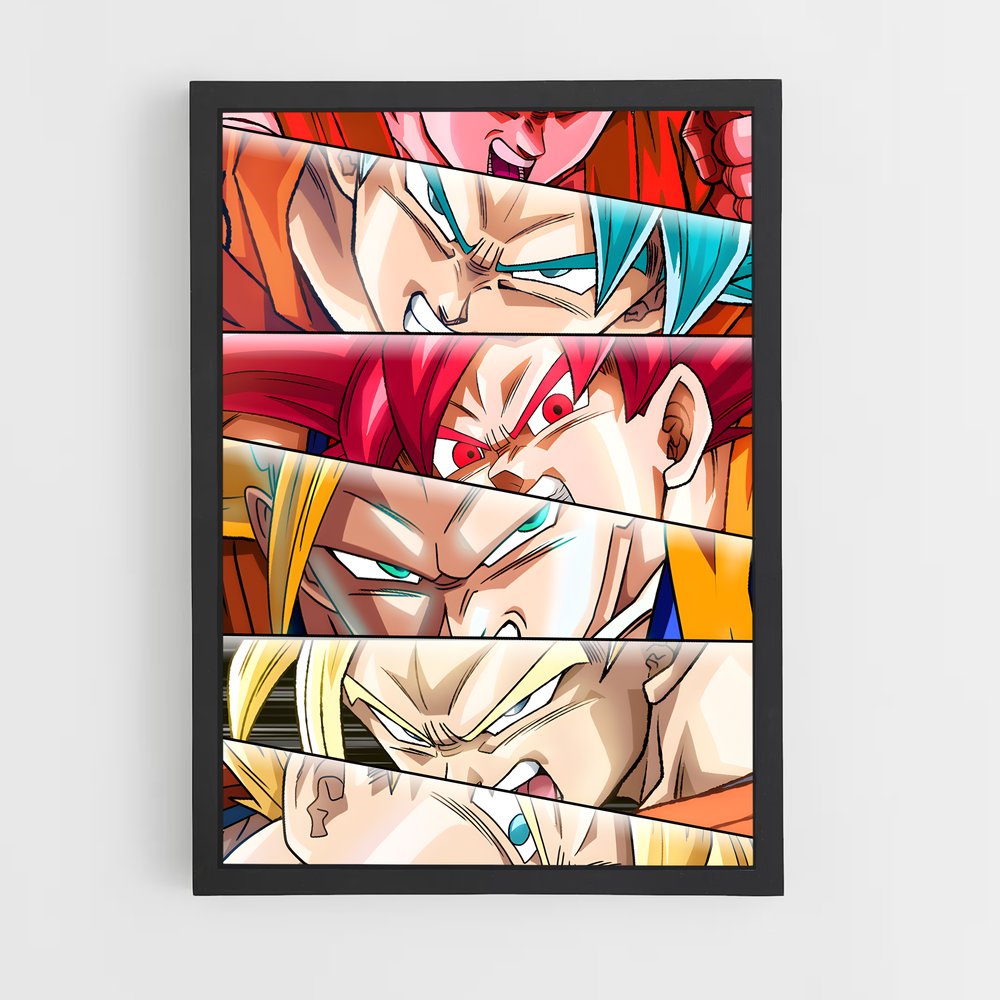 ap-son goku-7 cadre Noir