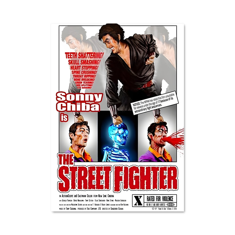 Poster Street Fighter Legacy