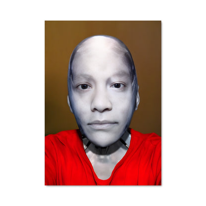 Poster Visage de l'Inconnu