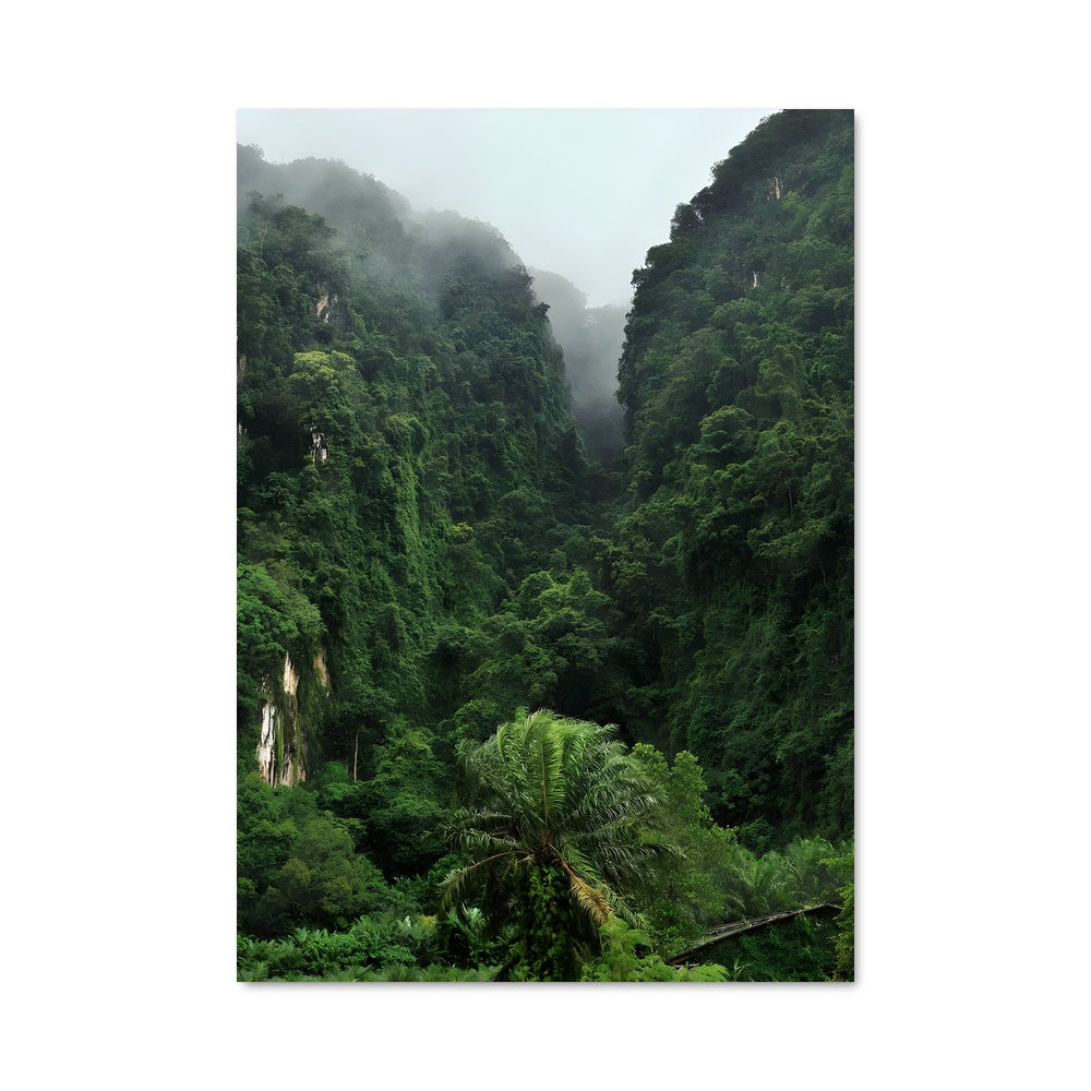 Poster Jungle Cachée