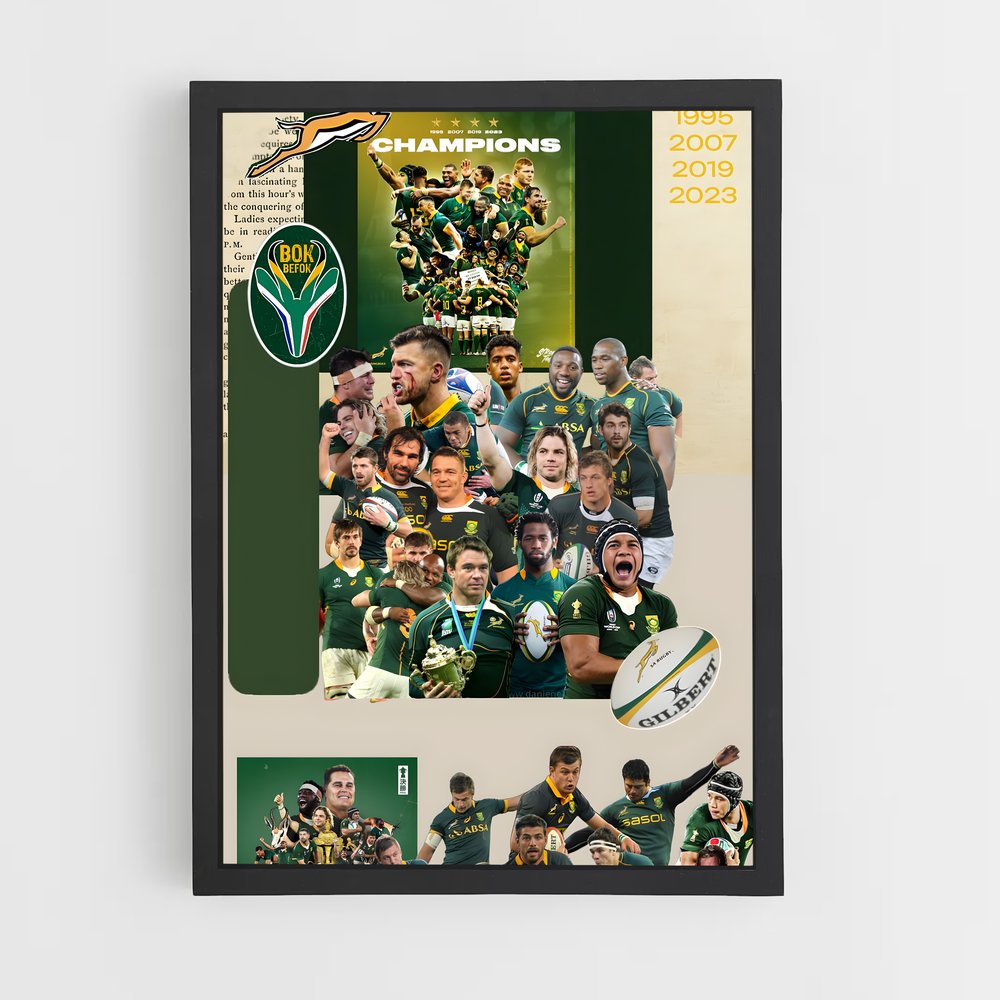 ap-south africa springboks-3 cadre Noir