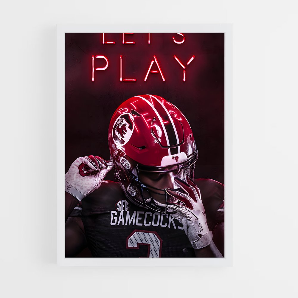 ap-south carolina gamecocks-4 cadre Blanc