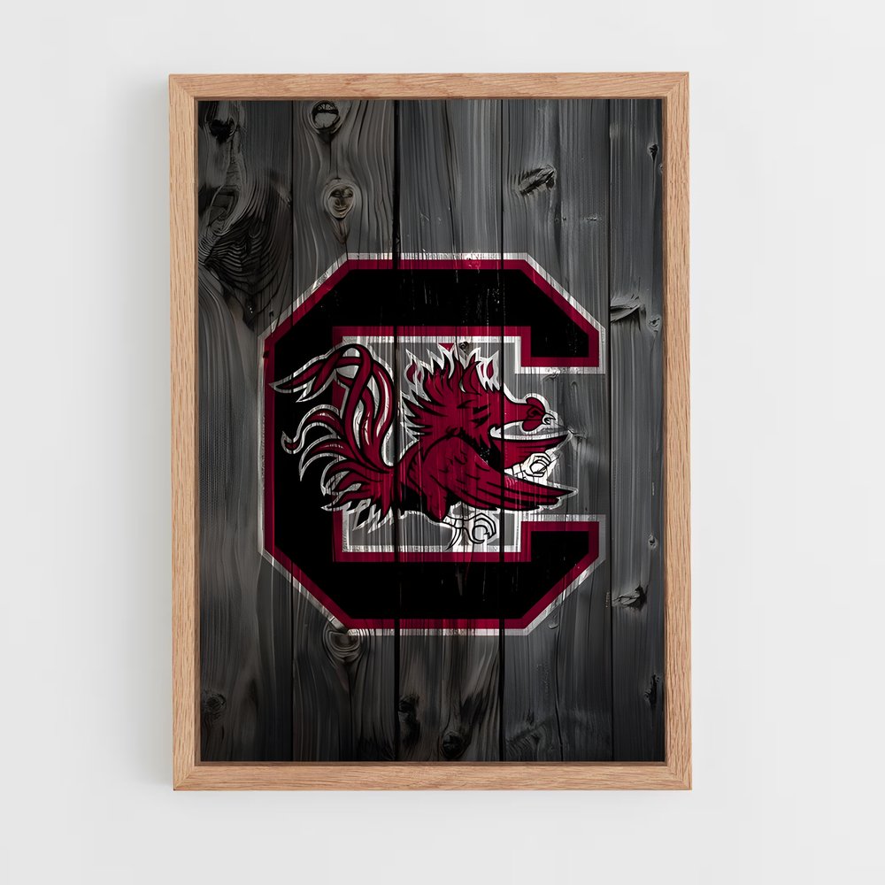 ap-south carolina gamecocks-5 cadre Bois clair