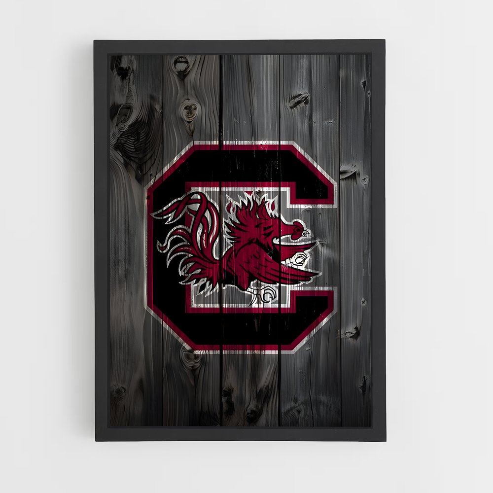 ap-south carolina gamecocks-5 cadre Noir