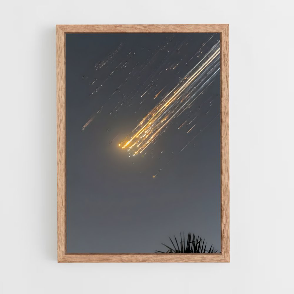 ap-spacex-10 cadre Bois clair