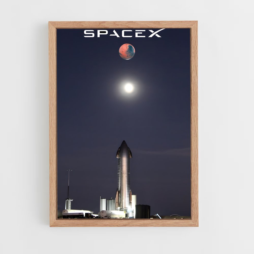 ap-spacex-3 cadre Bois clair