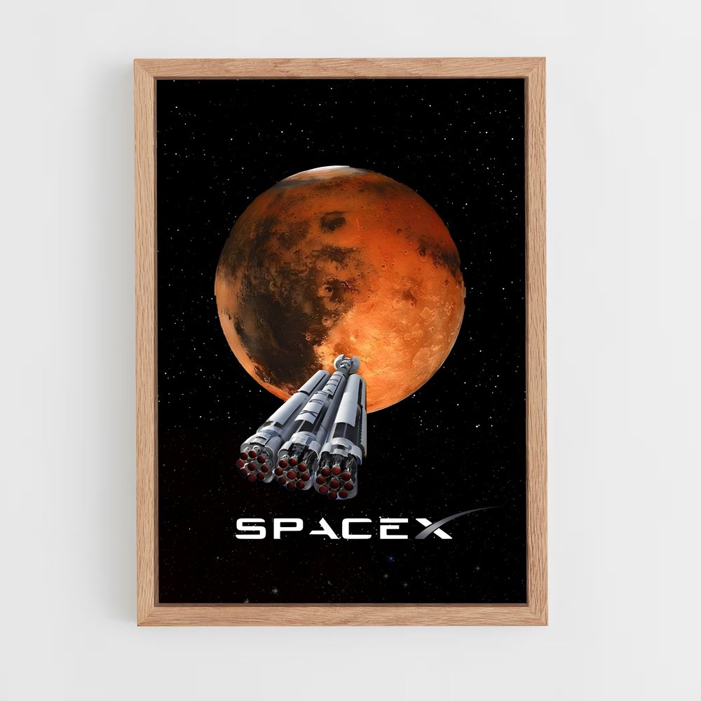 ap-spacex-7 cadre Bois clair