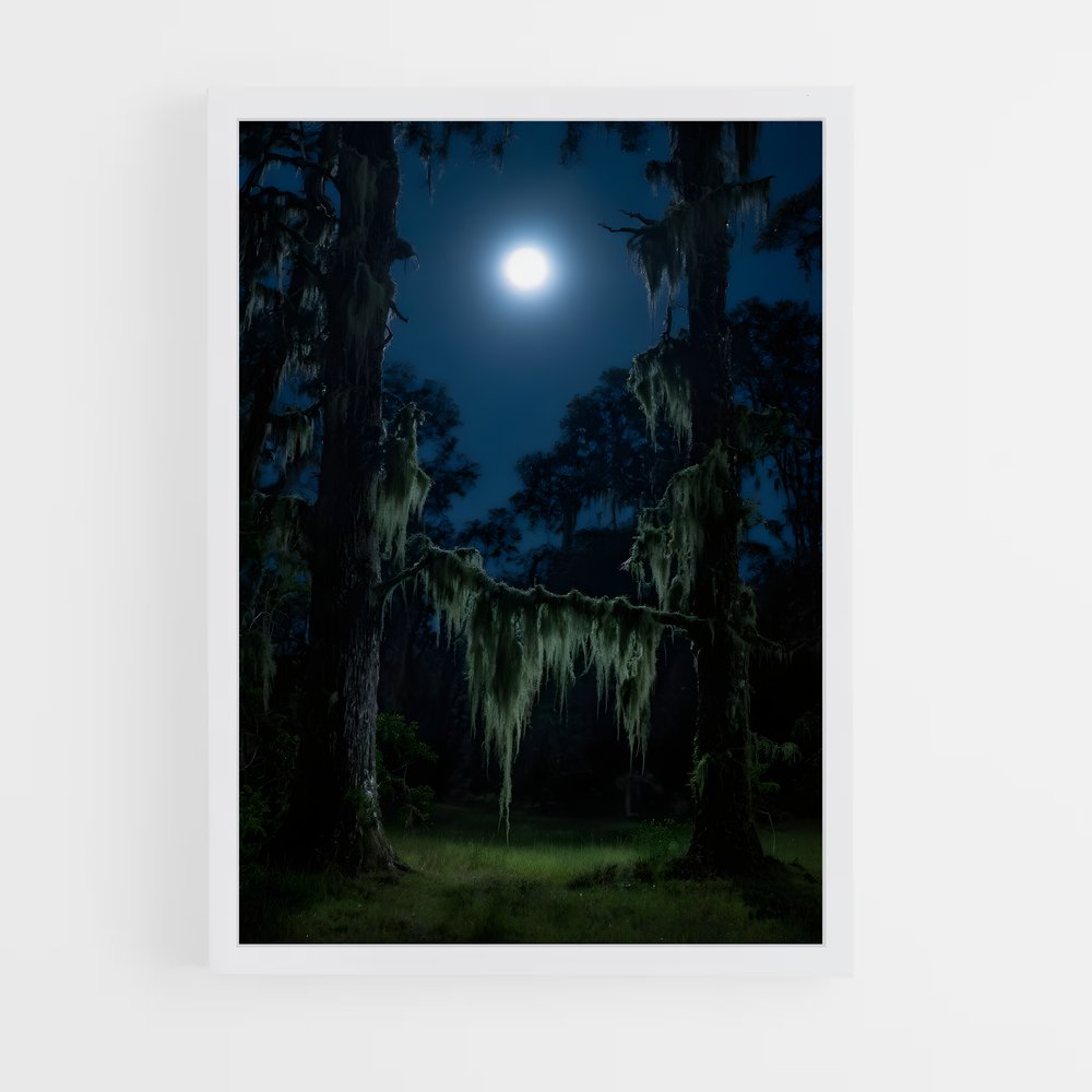 ap-spanish moss-2 cadre Blanc