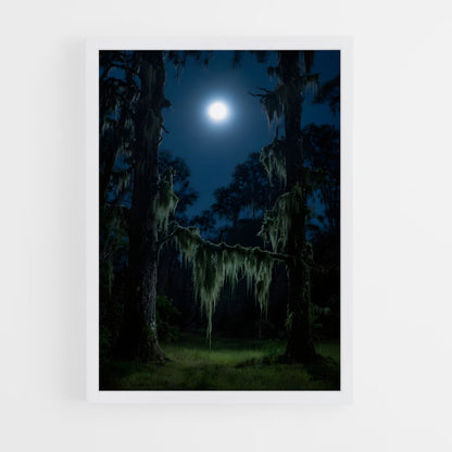 ap-spanish moss-2 cadre Blanc