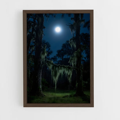 ap-spanish moss-2 cadre Bois foncé