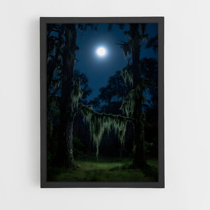 ap-spanish moss-2 cadre Noir
