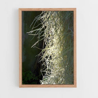 ap-spanish moss-4 cadre Bois clair
