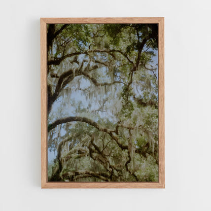 ap-spanish moss-5 cadre Bois clair