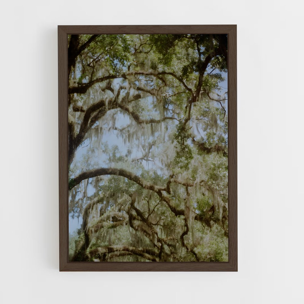 ap-spanish moss-5 cadre Bois foncé