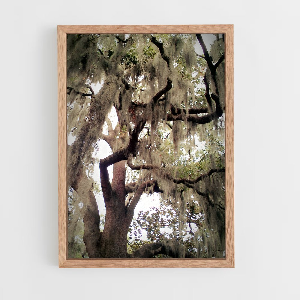 ap-spanish moss-7 cadre Bois clair