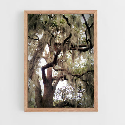 ap-spanish moss-7 cadre Bois clair