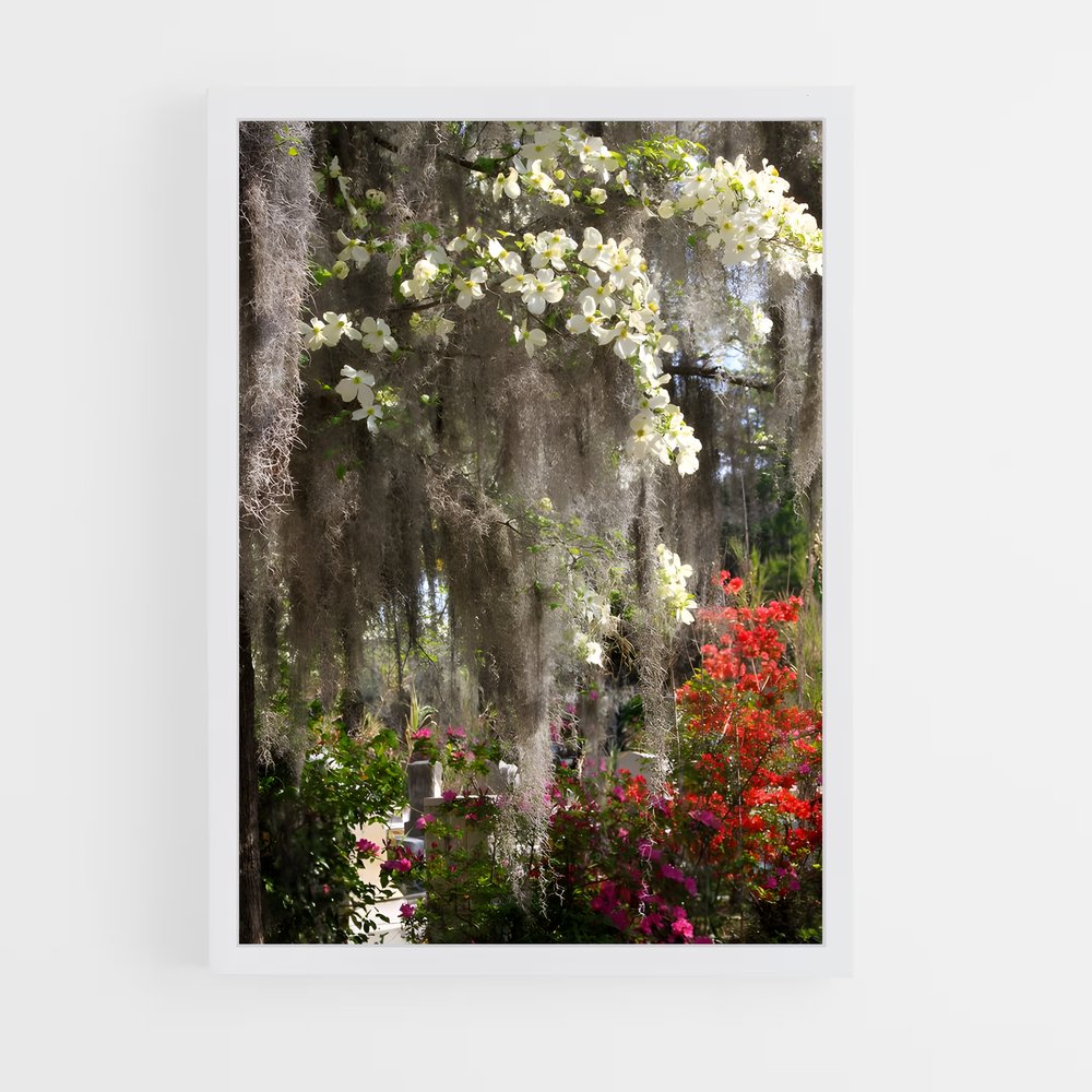 ap-spanish moss-8 cadre Blanc
