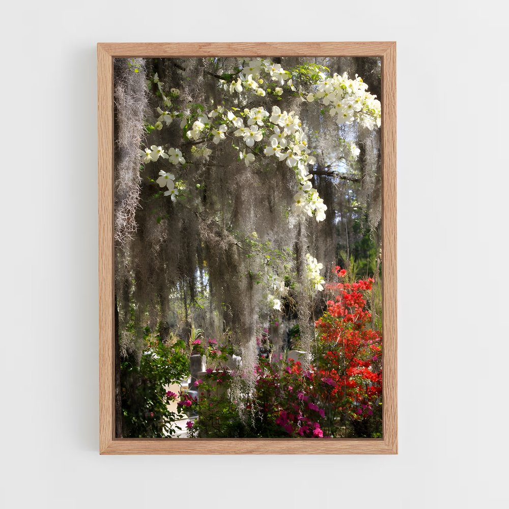 ap-spanish moss-8 cadre Bois clair