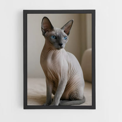 ap-sphynx-1 cadre Noir