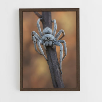 ap-spider-2 cadre Bois foncé