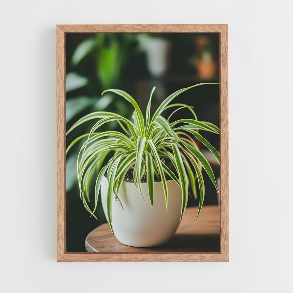 ap-spider plant-1 cadre Bois clair
