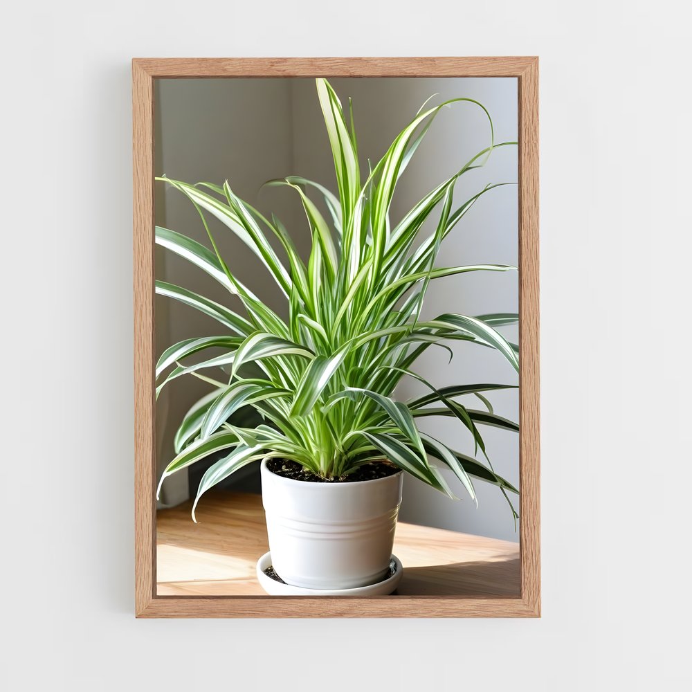 ap-spider plant-2 cadre Bois clair