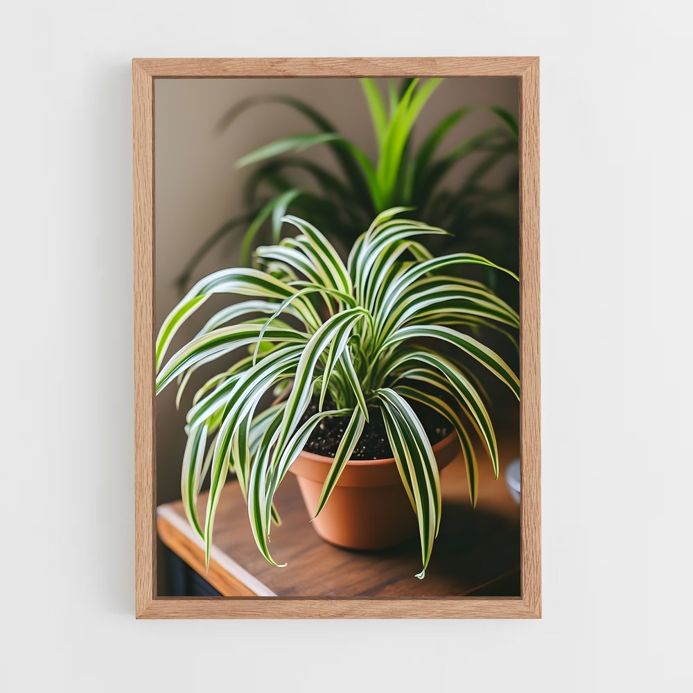 ap-spider plant-3 cadre Bois clair