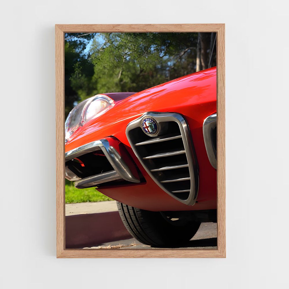 ap-spider veloce-1 cadre Bois clair