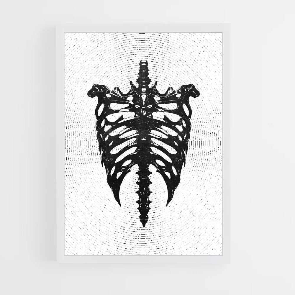 ap-spine-10 cadre Blanc
