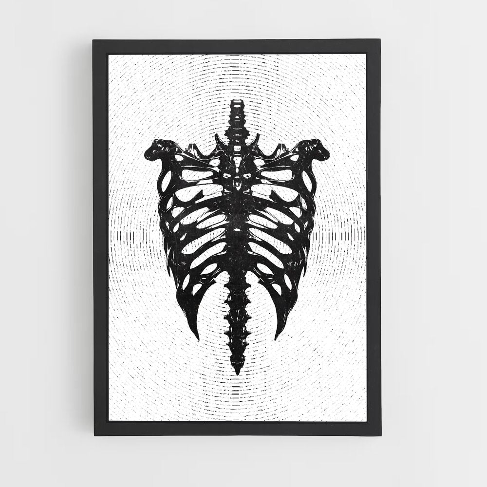 ap-spine-10 cadre Noir